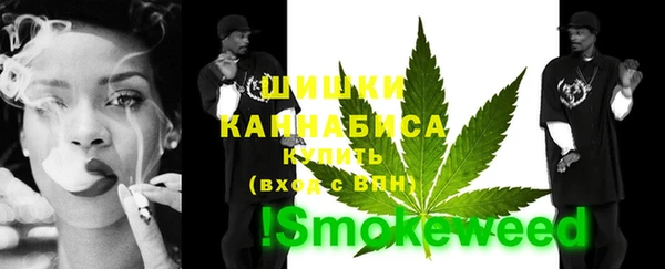 стаф Няндома