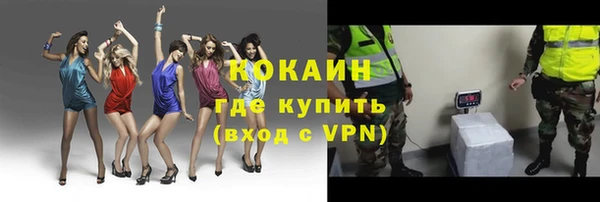 стаф Няндома