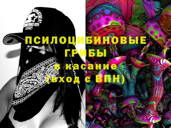 стаф Няндома