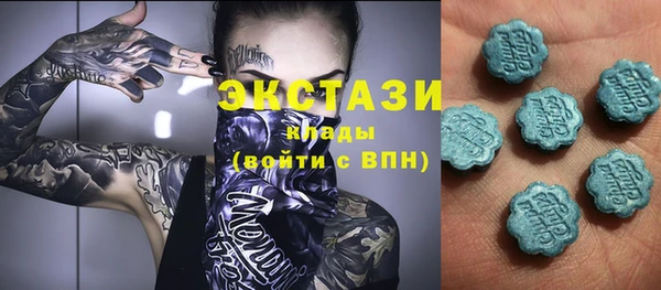 мдпв Новозыбков