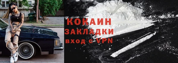 стаф Няндома