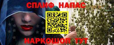 мет Дубна