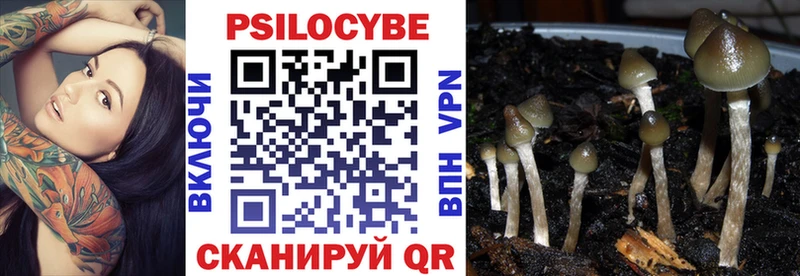 Псилоцибиновые грибы прущие грибы  цена наркотик  blacksprut как войти  Кудымкар 