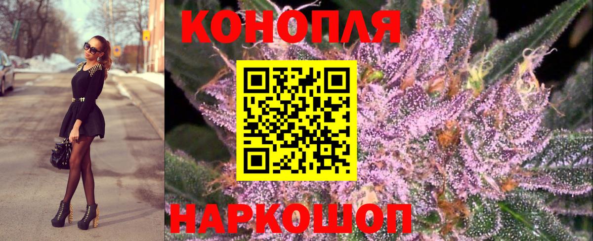 Бошки Шишки конопля Кудымкар